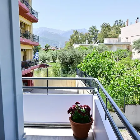 Magdalena Cozy * Sparte